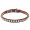 NEW! Pretty Dog Collar with Silver Studs