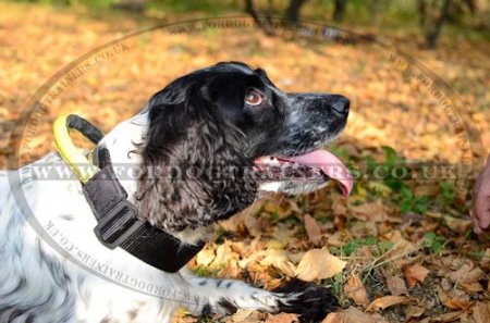 Collar with Handle for Dogs | Black Russian Terrier Collars