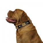 "Black Corsair" Stunning Black Leather Dog Collar With Studs FDT Artisan_6