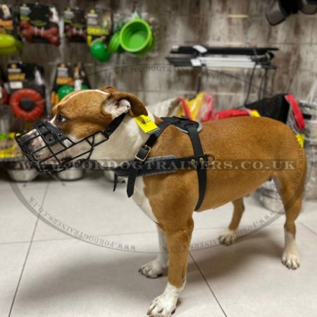 Eat and Drink Black Wire Dog Muzzle for Winter & Summer Allows Panting