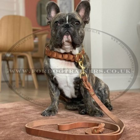 2-6 Foot Leather Dog Leash with Brass Fittings