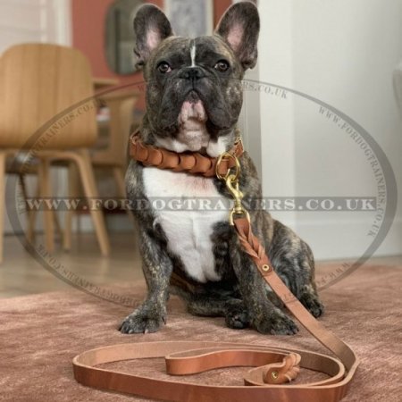 2-6 Foot Leather Dog Leash for Large Dogs Best Seller