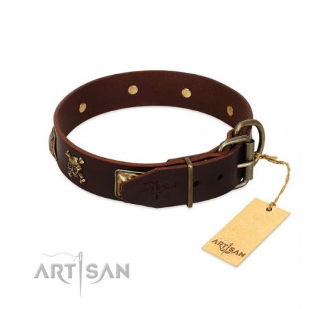 "Crazy Pirate" Exclusive Brown Leather Dog Collar With Brass Skulls FDT Artisan