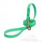 NEW! Green Dog Lead Super Strong Biothane