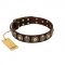 Pirate Themed Brown Studded Dog Collar from FDT Artisan