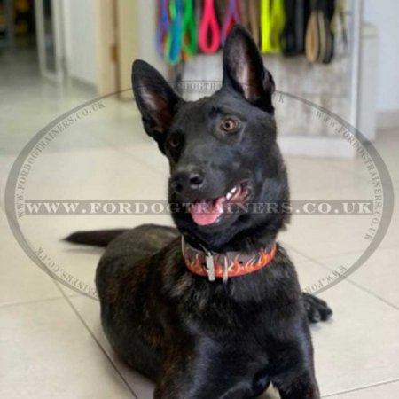 Cool Hand Painted Leather Dog Collar for German Shepherd "Flame"