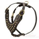 Brand-New Handmade Leather Dog Harness Studded with Brass Rivets