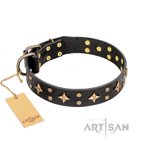 Beautiful Dog Collar "A La Mode" FDT Artisan with Bronze Stars