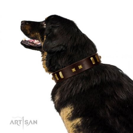 "Choco Delight" Awesome Chocolate Brown Leather Dog Collar With Brass Hardware FDT Artisan