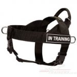 Walking & Training Dog Harness Non-Pull with Handle UK Bestseller