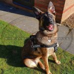 K9 Dog Harness No Pull Front Clip to Stop Dog Pulling on Lead_11