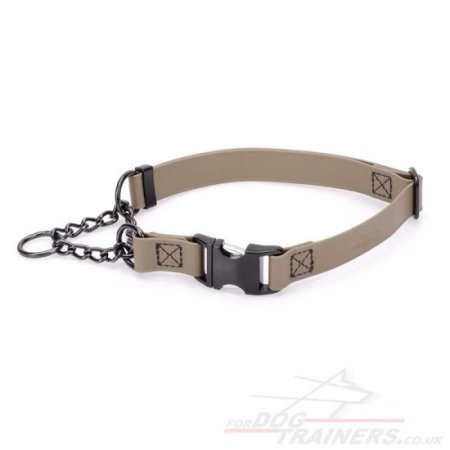 The Best Martingale Collar with Buckle and Chain for Dog Obedience