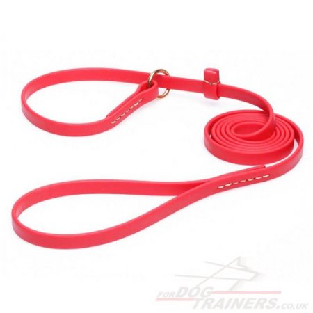 Red Dog Collar and Leash 2 in 1 Combo Choker with Handle