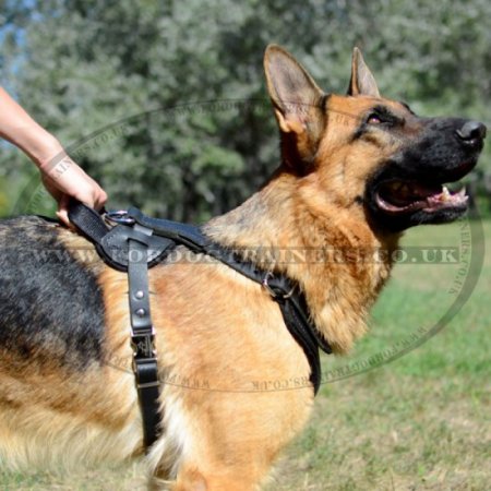 German Shepherd Dog Harness with V-Shaped Chest