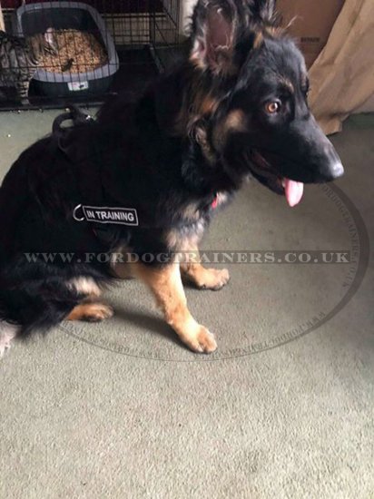 Get German Shepherd Harness UK Bestseller for Dog that Pulls