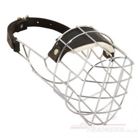 Bestseller Shar Pei Dog Muzzle That Allows Drinking and Eating Panting
