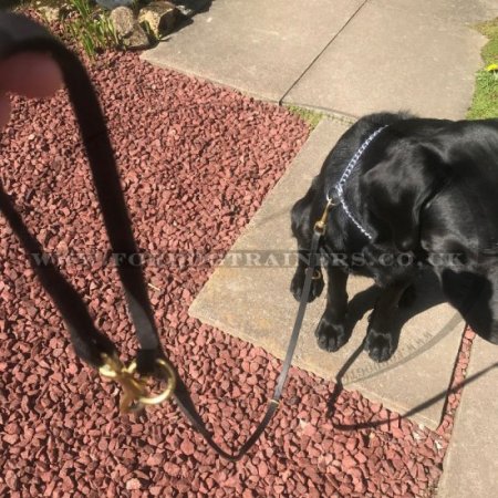 1/2" Double Ended Leather Dog Lead 2 Clips Design