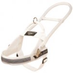 Buy White Dog Harness for Guide Dogs with Long Handle, High Vis