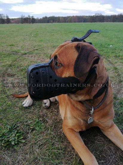 Bestseller Leather Police Dog Muzzle for K9 Dogs Training