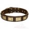 New Dog Collar Gorgeous Leather and Brass