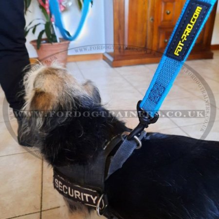 Modish Nylon Dog Training Lead For Dog's Daily Activities 0.8" Width