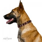 Dark Brown Leather Dog Collar | Exclusive Dog Collar UK FDT Artisan_8