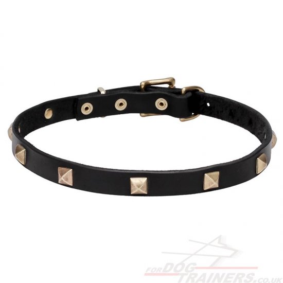 New Nice Dog Collar with Brass Pyramids and a Strong Buckle