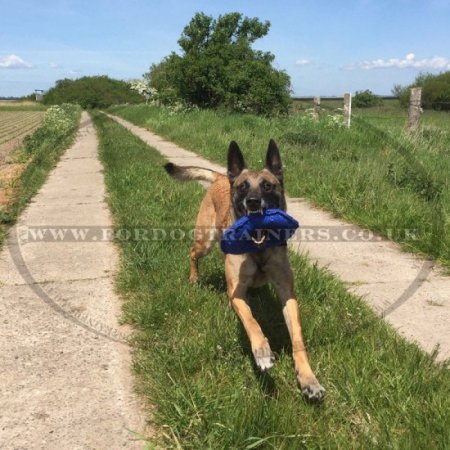 Eco-Safe French Linen Puppy Tug Retreiving Skills Builder