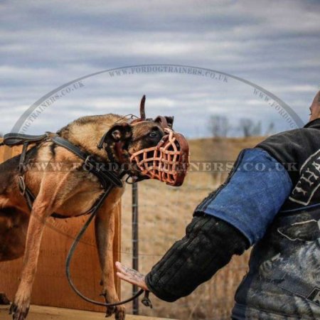 Professional Leather Police K9 Dog Muzzle for Working Dog