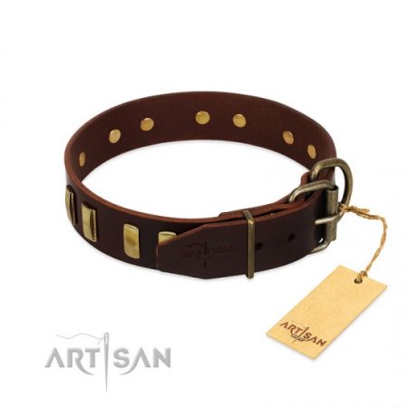 "Peace and Harmony" FDT Artisan Brown Leather Collar for Big Dogs with Brass Plates