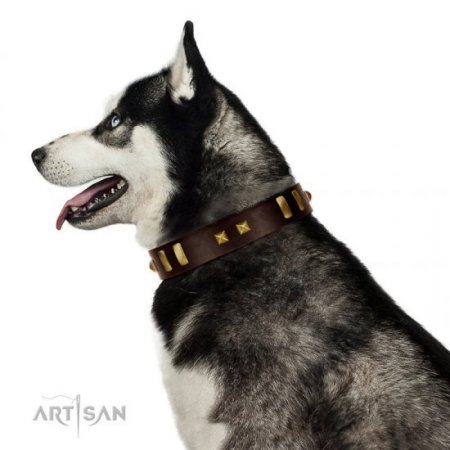 "Choco Delight" Awesome Chocolate Brown Leather Dog Collar With Brass Hardware FDT Artisan