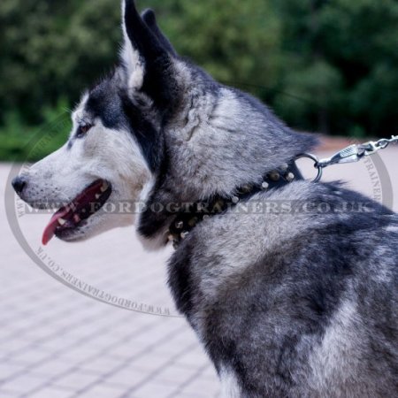 Best collar for a on sale husky