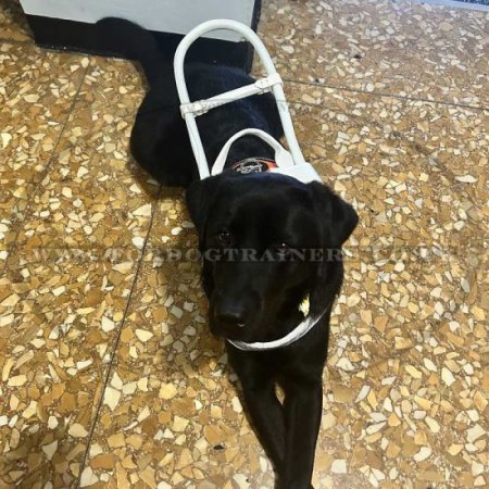 "Clever Dog" Tough Assistance Dog Mobility Harness For Service Dogs