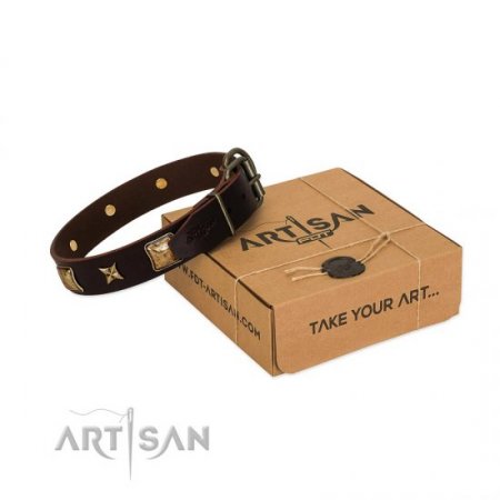 "Choco Dreams" Dark Brown Leather Dog Collar with Brass Studs FDT Artisan