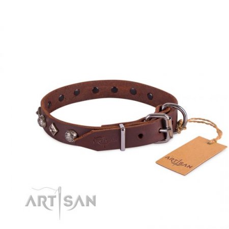 Extravagant Brown Leather Personalised Dog Collar FDT Artisan