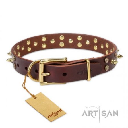 Extra Strong Brown Leather Brass Dog Collar FDT Artisan For Reliable Dog Control