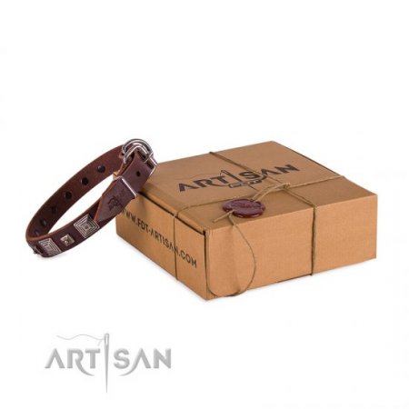 Brown Studded Buckle Dog Collar FDT Artisan For Reliable Control
