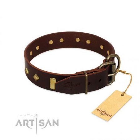 "Blinking Illusion" Extraordinary Brown Leather Dog Collar With Shiny Studs FDT Artisan