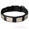 Studded Nylon Dog Collar With Buckle and Vintage Plates