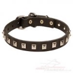 Leather Dog Collar with Studs, 1 inch wide
