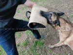 Thick Jute Young Dog Bite Sleeve "Everyday Training"_1
