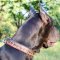 Large Dog Collar for Great Dane with Painting Flame