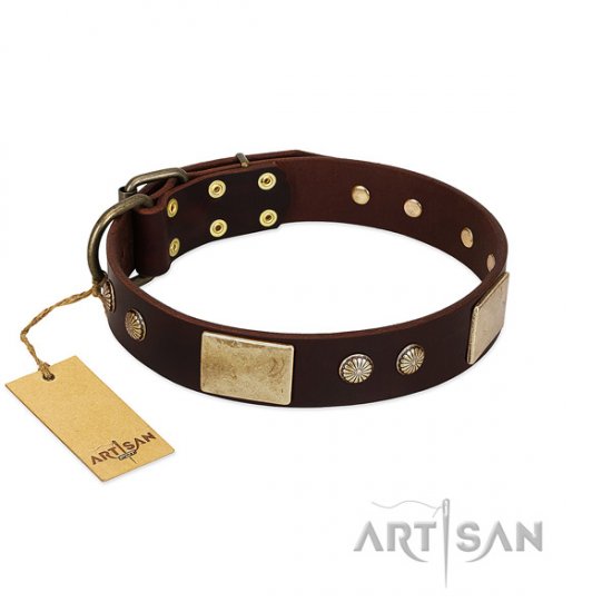 Handmade Brown and Gold Dog Collar for Big Dogs by FDT Artisan