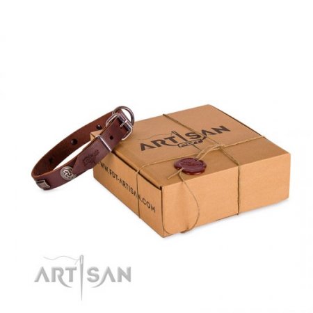 Studded Chocolate Brown Leather Dog Collar For Active Walking