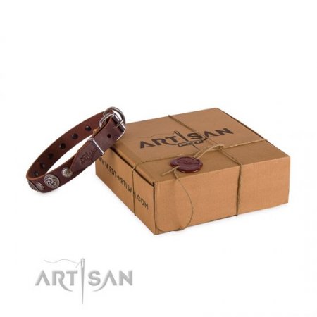 Premium Chocolate Brown Leather Dog Collar With Round Medallions FDT Artisan