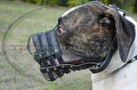 Large Dog Leather Muzzle for American Bulldog