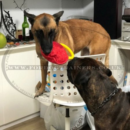 Soft and Durable Dog Bite Toy for Puppies and Big Dogs