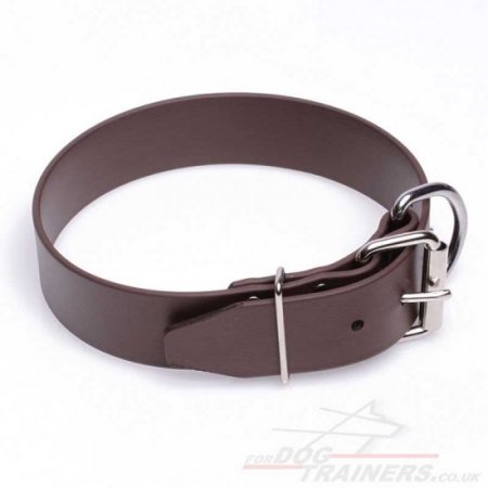 Salt Water Resistant Dog Collar with Buckle Brown Biothane