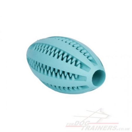 Durable Dog Dental Chew Toy "DENTA FUN RUGBY BALL"