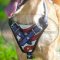 American Style Designer Dog Harness for Golden Retriever